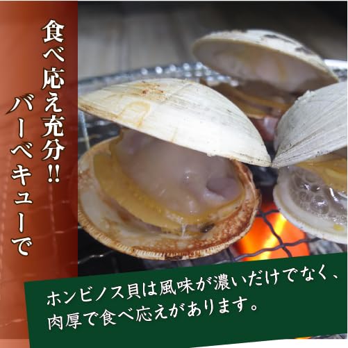Amazon.co.jp: 活 ホンビノス貝 特大サイズ（4～6個）1kg入[貝類